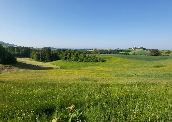 Alpenblick * Gramastetten