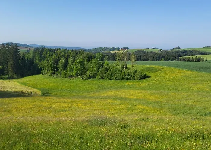 Alpenblick Tatil Evi *